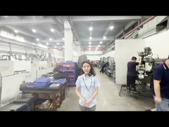 Laboratorio di lavorazione dello stampo Jedec Trays